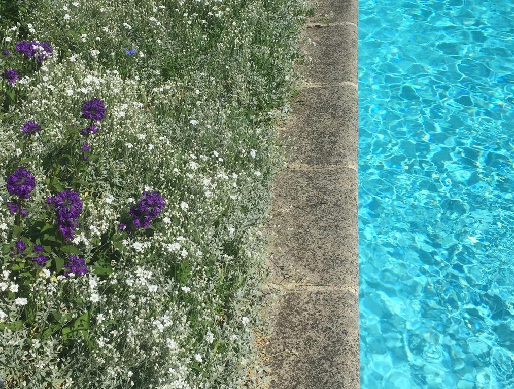 Bed and Breakfast Fleurs De Vignes Piscine Montagny-les-Beaune Екстер'єр фото